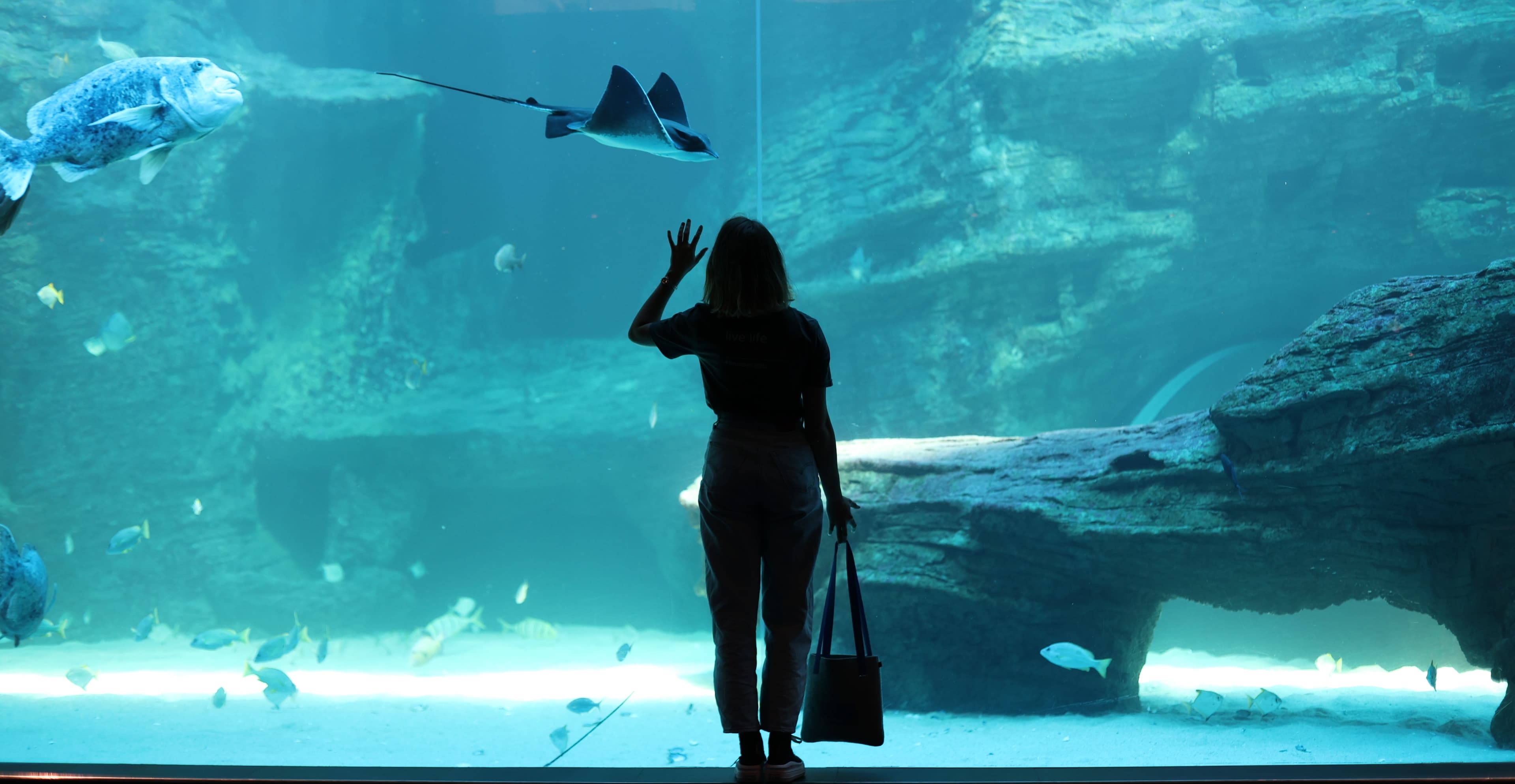 I\x27m Not Plastic campaign image